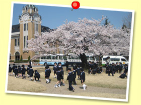 安積幼稚園アルバム