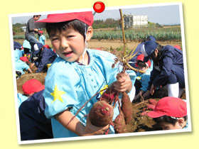 安積幼稚園アルバム