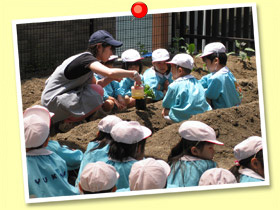 安積幼稚園 苗植え風景